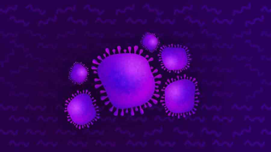 Souches Coronavirus